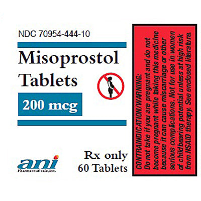 Misoprostol Tablets 200 mcg for gastric health; supports healing with trusted efficacy and safety.