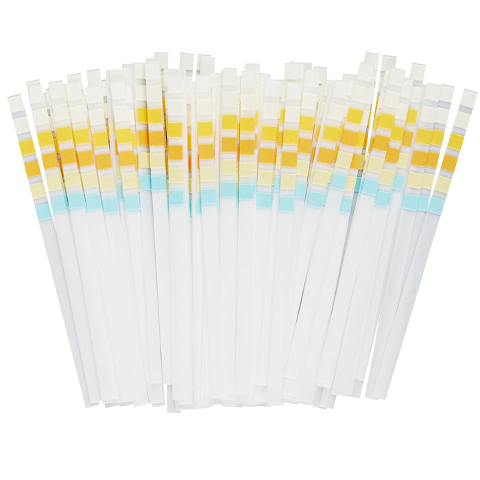 Urine Reagent Test Strips used for detecting glucose, protein, ketones, and pH levels, essential for comprehensive health monitoring.