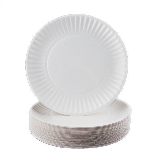  PLASTICPRO Disposable White Uncoated Paper Plates (1000, 9''  Inch) : Health & Household